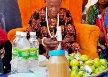 Jubilation as Anambra community celebrates oldest man at 112 years