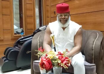 Insecurity: Don’t allow detractors derail your govt – Ogene Ndigbo Urges Soludo