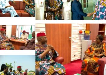 Chidoka canvasses increased cancer care funding by National Assembly