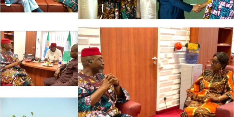 Chidoka canvasses increased cancer care funding by National Assembly