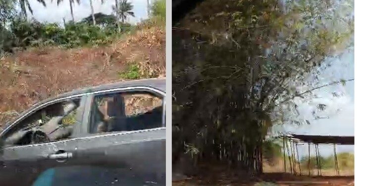 Anambra Governorship Aspirant Dares Unknown Gunmen, Visits Camps in Anambra South.