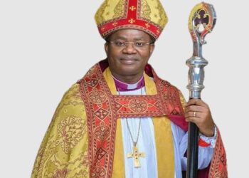 Nwokolo hails Nigerians for their resilience in overcoming 2024, declares 2025 great expectation year