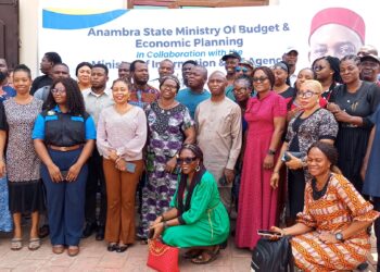 MDAs training: SolutionLens’ll boost citizen engagement – ICT Agency boss