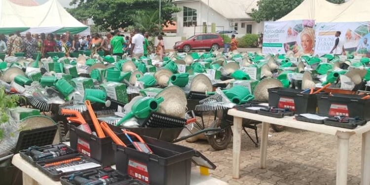 Food Security: Tinubu’s Wife Donates Farming Equipment, Resources To 200 Farmers In Anambra