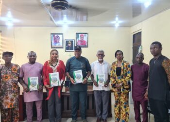 Digitization of Anambra markets’ll address traders’ tax evasion – Soludo’s Aide