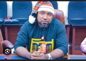 Insecurity: We’ll capitalize on Igbo core values to reform our people’s mindset – Ohaneze