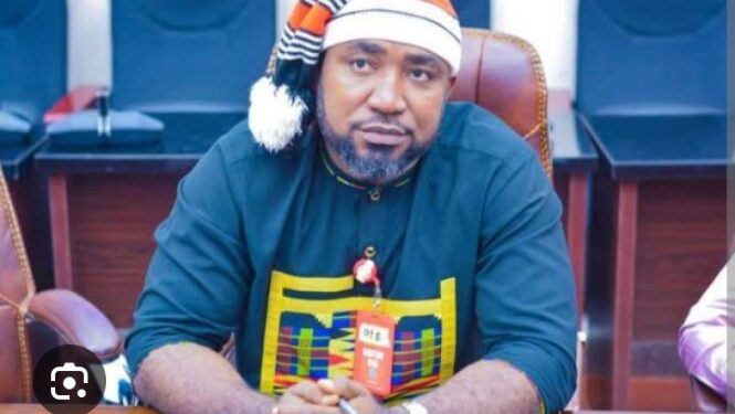 Insecurity: We’ll capitalize on Igbo core values to reform our people’s mindset – Ohaneze