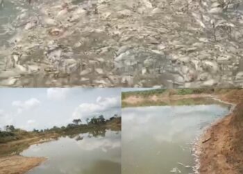 Fish Pond Crisis: Umuoba Anam seeks Soludo’s intervention over Aguleri youths’ attacks