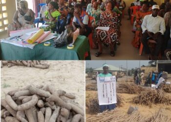 Flooding: JDPC assists Anambra farmers with farm inputs worth millions of naira