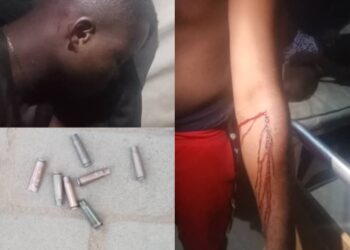 Constitute panel of enquiry over rising crimes in Isuanaocha community – Stakeholders tell govt, int’l community