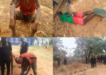 Insecurity: 2 fake ritualists arrested as Anambra community begins forest combing