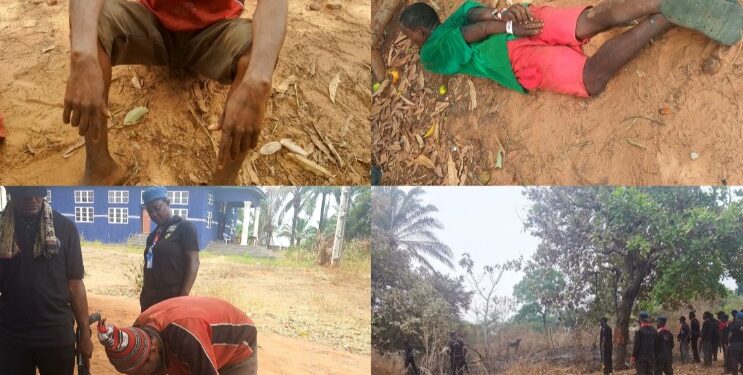 Insecurity: 2 fake ritualists arrested as Anambra community begins forest combing