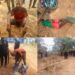 Insecurity: 2 fake ritualists arrested as Anambra community begins forest combing