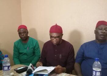 Ten Reasons Why Ndigbo Should Rally Behind Tinubu – Southeast Elders