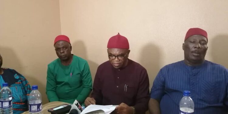 Ten Reasons Why Ndigbo Should Rally Behind Tinubu – Southeast Elders