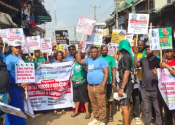 Outrageous Fees Sacking Us From Anambra Market – Women Traders Lament