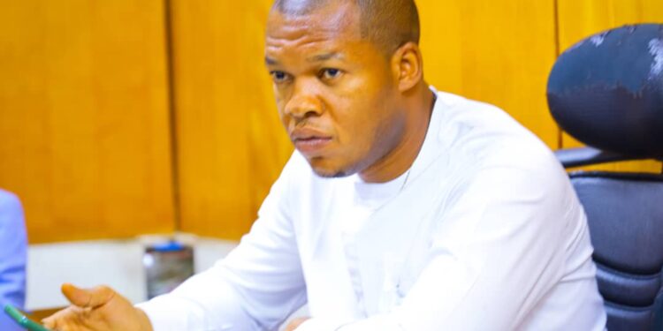 How SEDC can Leverage NPC’S Geospatial Data For Planning and Development of Igboland.