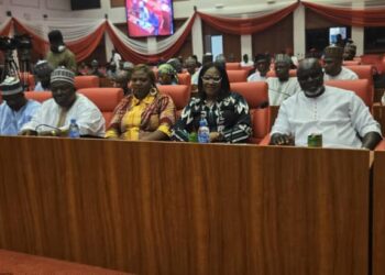 Stakeholders Excited over Soludo’s Free Education as Public Hearing for Compulsory Free UBE Act, 2004 (Amendment) Bills, 2025 Begins