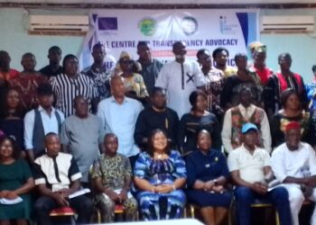 Take Advantage Of FOIA To Hold Govt Accountable – Minister Tells Nigerians