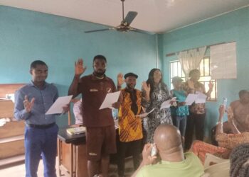 Ughaerumba Emerges NVMA Boss In Anambra, Solicits Support