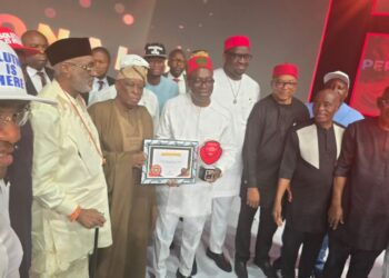 Soludo Wins Vanguard Good Governance Award