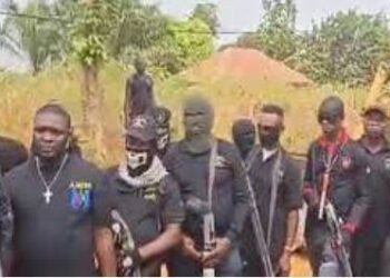 I Never Called Agụnechemba Operatives Criminals – Emeakayi