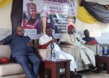 Anambra Guber: We’ll Interrogate Candidates To Ensure Only The Best Emerges – Ohaneze
