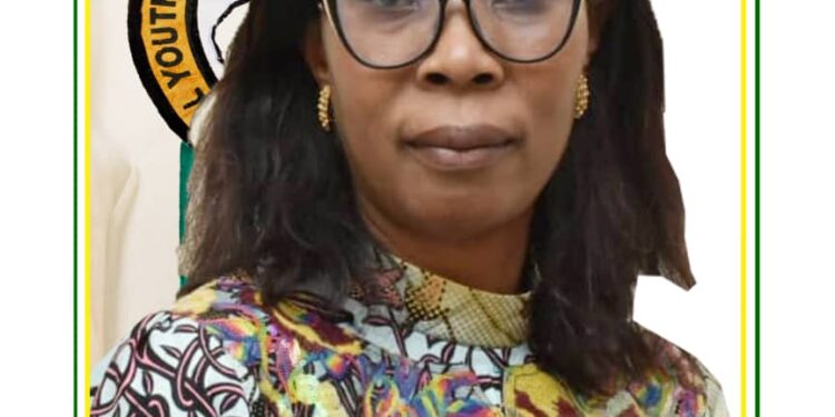 NYSC Anambra Gets New State Coordinator