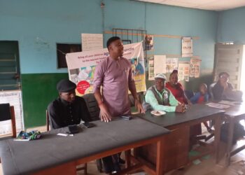 Immunization: Partner Community Leaders on Sensitization, Implementation – Nkem Okeke tells WDC