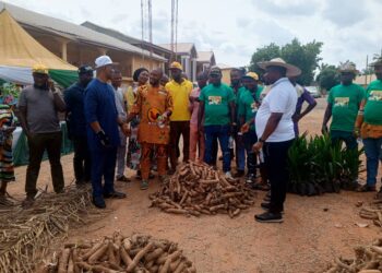 Commissioner Pledges Support For Farmers as Mayor Distributes 10,000 Seed Yams, Oil Palm