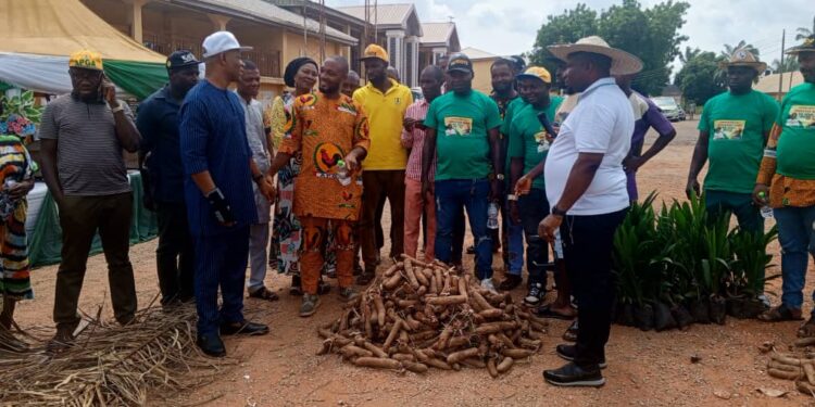 Commissioner Pledges Support For Farmers as Mayor Distributes 10,000 Seed Yams, Oil Palm