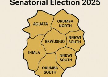 INEC May Conduct Anambra South Senatorial By-Election in May
