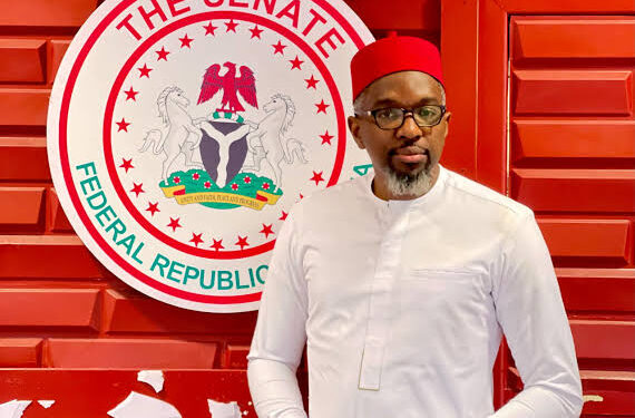 Senate Appoints Anambra’s Anyaduba Consultant on Reparations