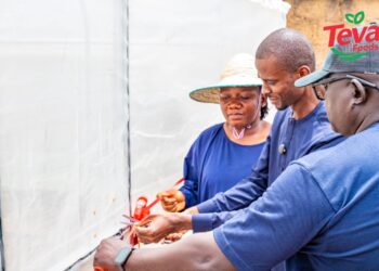 Teva Foods Unveils Smart Greenhouse, Promotes Climate-resilient Youth Farming