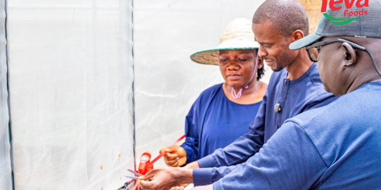Teva Foods Unveils Smart Greenhouse, Promotes Climate-resilient Youth Farming