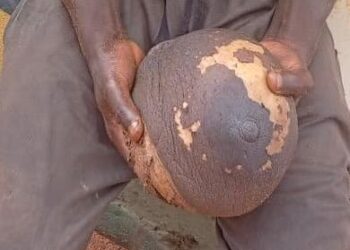 Police Arrest 25-Year-Old Man in Anambra with Freshly Harvested Female Breast, Others