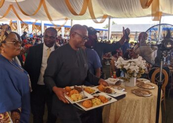 Peter Obi’s Aide Clarifies Trending Photo.