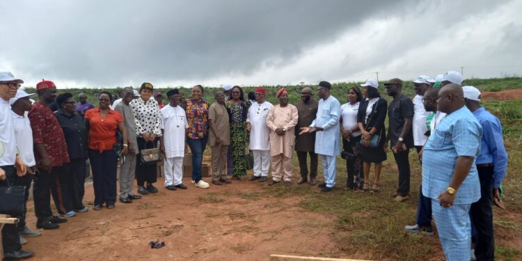 Industrial Pharmacists Begin Construction Of Modern Research Centre In Anambra