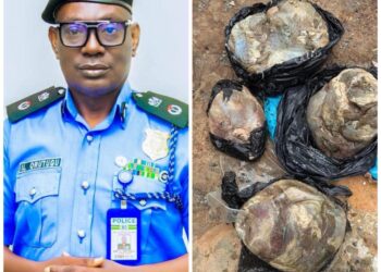 Anambra Police Arrest Suspect In Connection With The Murder of a Pregnant Nurse.