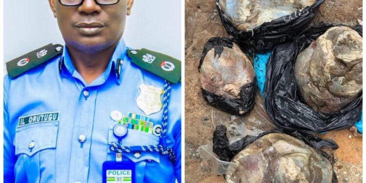 Anambra Police Arrest Suspect In Connection With The Murder of a Pregnant Nurse.