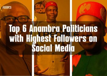Meet Six Anambra Politicians with the Highest Number of Social Media Followers