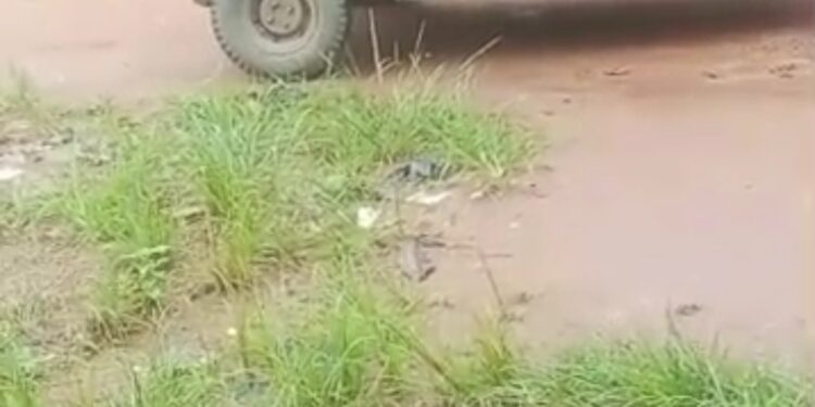 Tears as 20 Gunmen Storm Anambra Community, Kill Four, Burn Security Vehicle