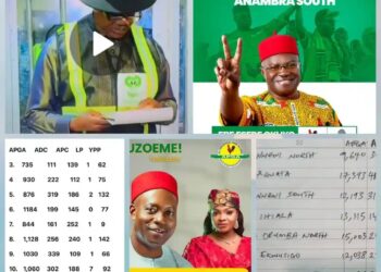 By-elections: Nwachukwu, Azikiwe Floor APC, Others in Anambra (Full Result)