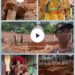 Anambra Billionaire Demolishes Popular Traditional Ruler’s Palace, To Build New One In 3 Months