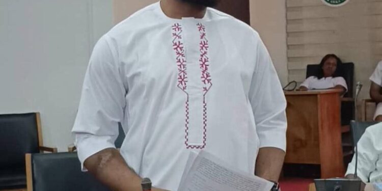 “You’re Fraustrating Us”, Anambra House of Assembly Member, Udemezue Tells Soludo
