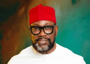 INEC, APGA Sabotaged Anambra South By-Election – ADC Senatorial Candidate, Amamgbo