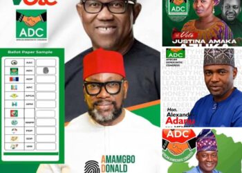 2025 Bye-Elections: Peter Obi Urges Nigerians to Vote ADC, Distances Self from Labour Party