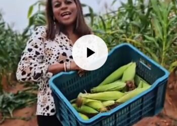 “Come and Eat Corn with Me” – Nonye Soludo Invites Ndi Anambra.