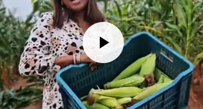 “Come and Eat Corn with Me” – Nonye Soludo Invites Ndi Anambra.