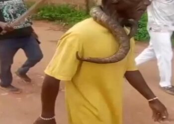 Natives Parade, Flog Ebonyi Man for Killing “Sacred” Python in Anambra